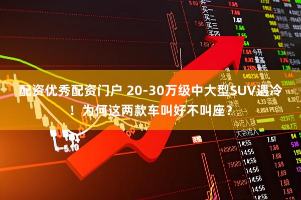 配资优秀配资门户 20-30万级中大型SUV遇冷！为何这两款车叫好不叫座？